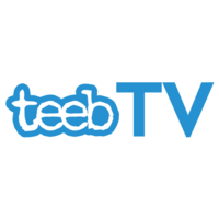 Teeb TV Logo